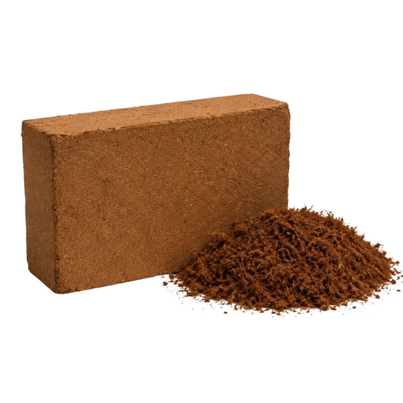 Coir Block 650g (studio)