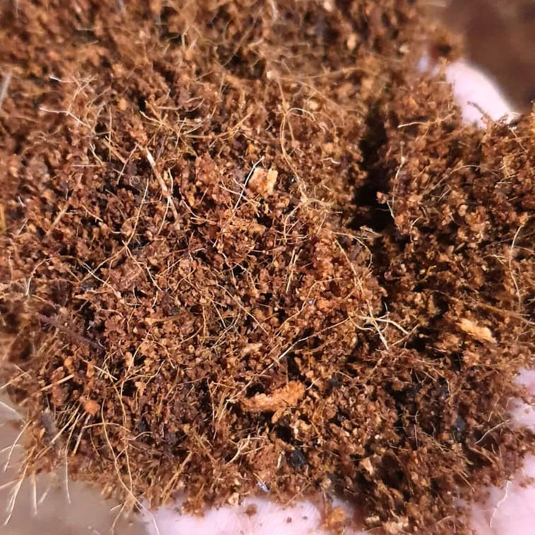 Premium Loose Coir (real)